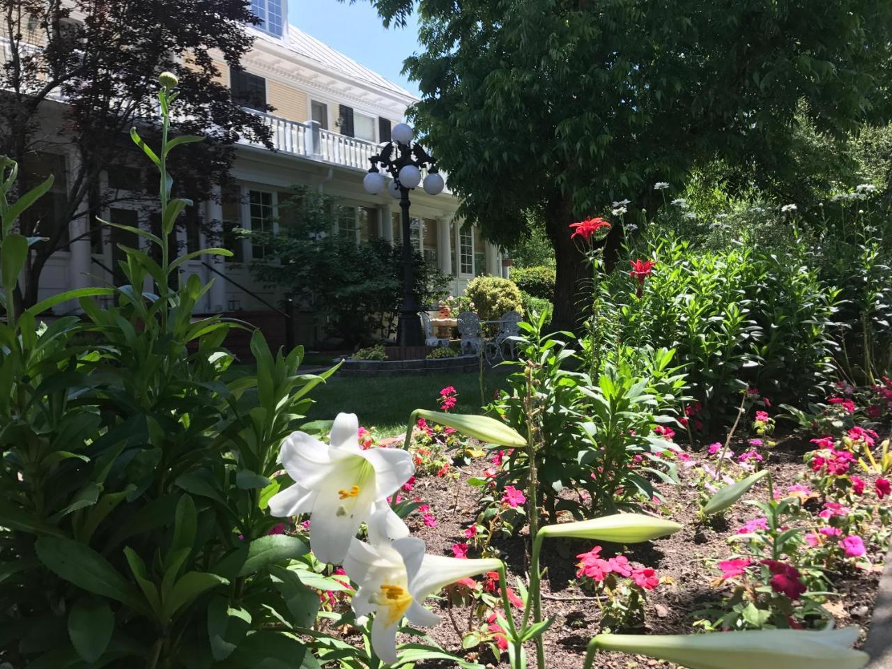 The Edenton Collection-The Granville Queen Inn Extérieur photo